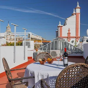https://apt-casa-palacio-santa-cruz-cathedral-views.es-andalucia.com